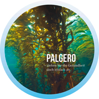 Alge trifft Merino – in den neuen Shirts von Palgero