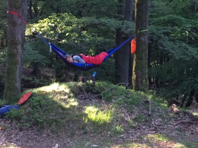 Wildnight – in dieser Nacht zählen wir die Sterne.